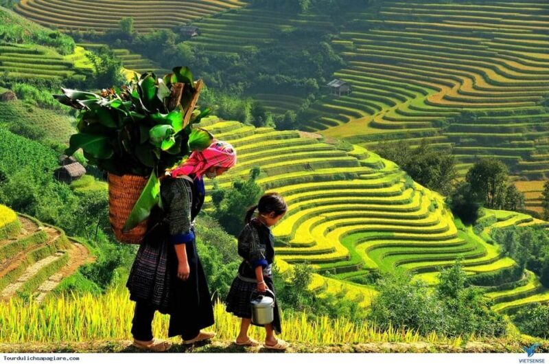From Hanoi: Sapa 3D2N  Cat Cat Village, Fansipan Peak,Moana - The Sum Up: Is This Tour Worth Your Time and Money?