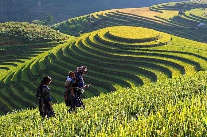 From Hanoi: Sapa 3D2N Hotel overnight by Limosine - FAQ