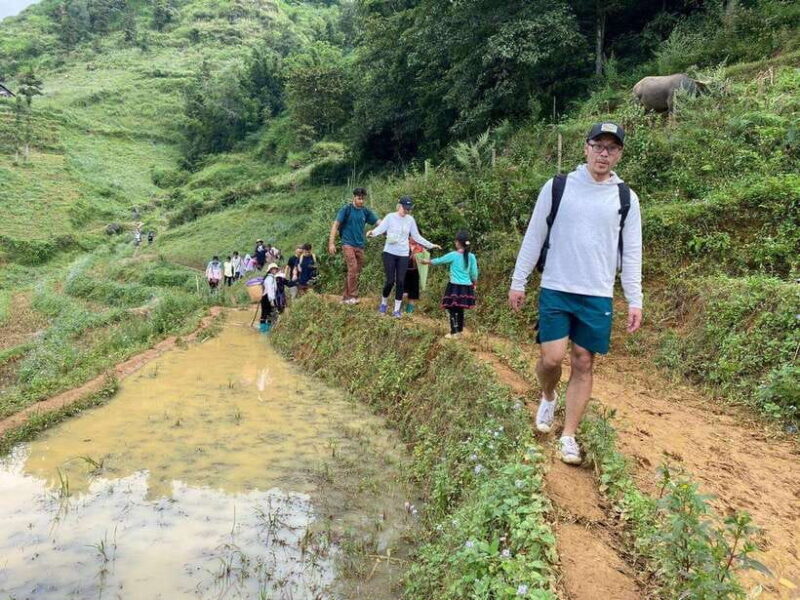 From Hanoi/Sapa: Highlights 2-Day Trekking Tour - The Sum Up