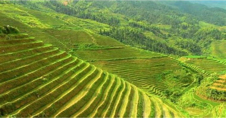 from-hanoi-sapa-laochai-tavan-giang-ta-chai-3d2n