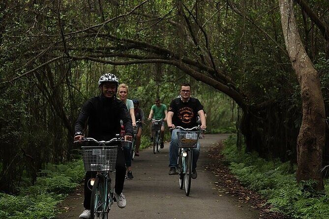 From Hanoi: Serenity Grandeur Luxury Day Cruise to Lan Ha Bay - Adventure Activities: Kayaking, Swimming, and More