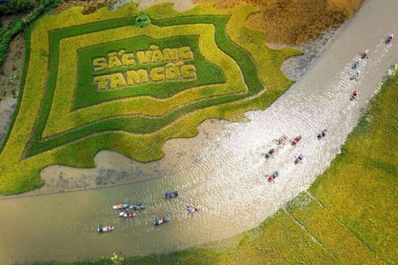 From Hanoi: Tam Coc Boat Trip and Hoa Lu & Mua Cave Tour - Who Will Love This Trip?