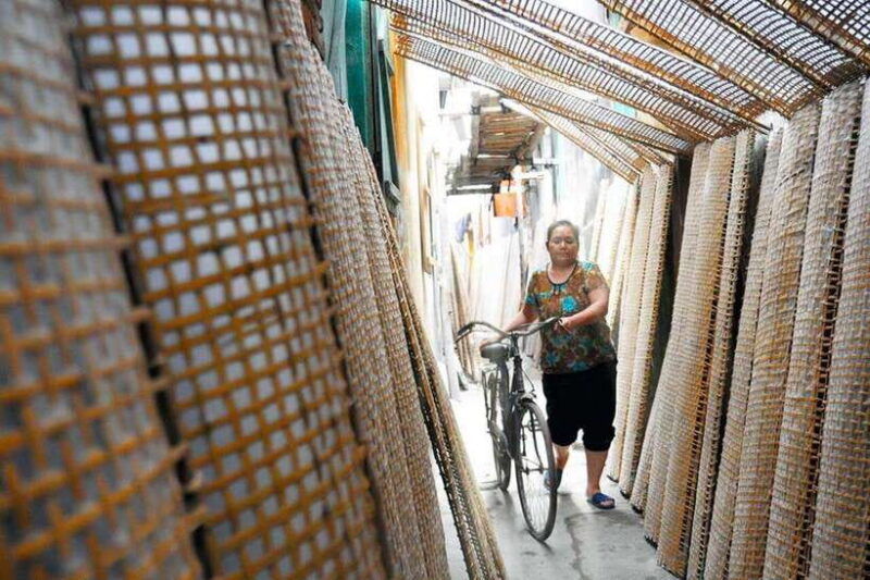 from-hanoi-tho-ha-village-half-day-photo-tour