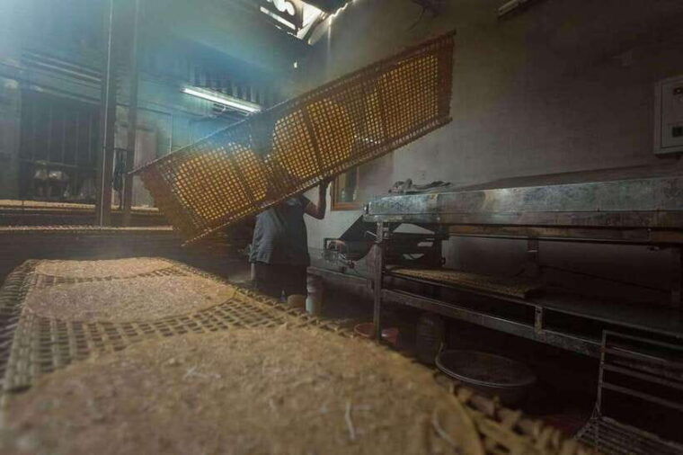 from-hanoi-tho-ha-village-half-day-photo-tour