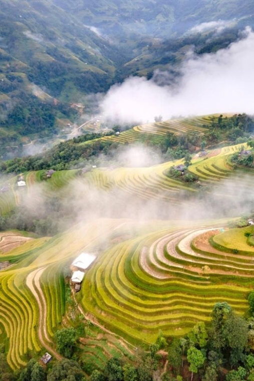 from-hanoi-visit-sapa-3-days-see-the-terraced-fields