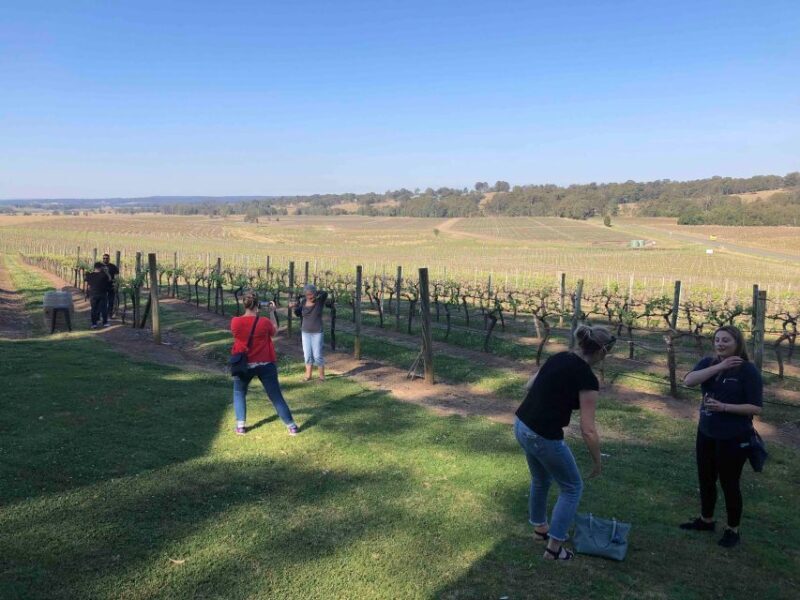 From Haymarket: Hunter Valley Wine and Wildlife Day Trip - Who Should Consider This Tour