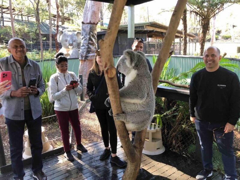 From Haymarket: Hunter Valley Wine and Wildlife Day Trip - Final Thoughts