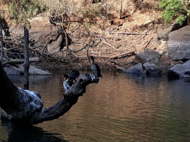 From Hazyview: Blyde River Canyon Highlight & Boat Cruise - Who Will Enjoy This Tour?