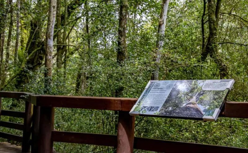 From Hazyview: Full-Day Guided Panorama Tour - The Itinerary Breakdown: What Makes This Tour Special