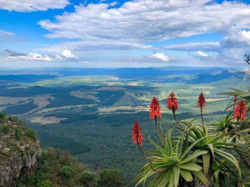 From Hazyview: Full-Day Guided Panorama Tour - The Sum Up