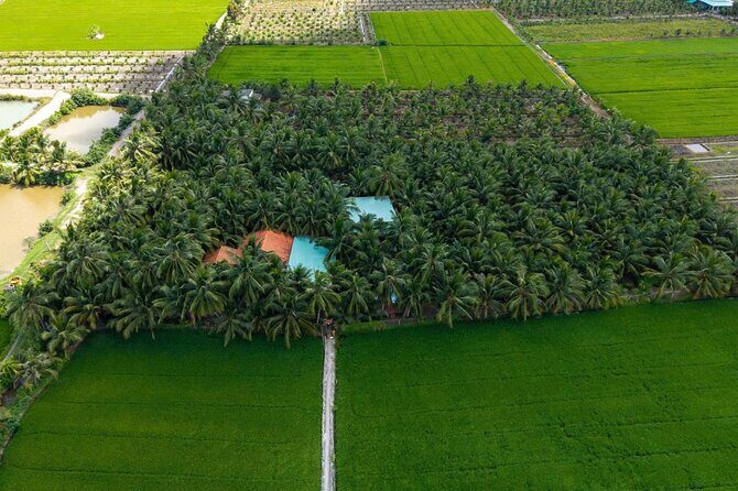 From HCMCMekong Delta Eco Tour: Non-Touristy & Small Group - Key Points