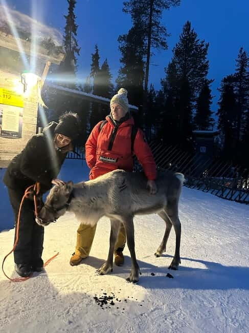 From Helsinki: 7-Day Lapland Northern Lights Tour - The Sum Up