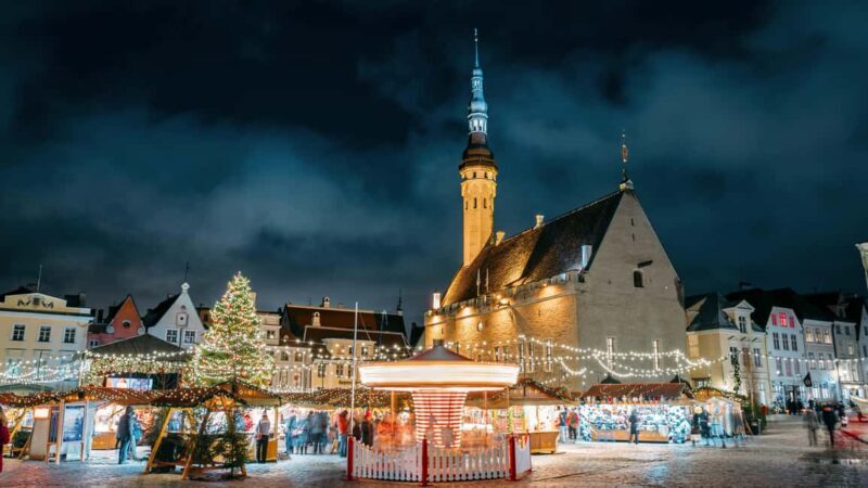 From Helsinki: Day Trip to Tallinn (Ferry, Guide & VIP car) - Who Is This Tour Best For?