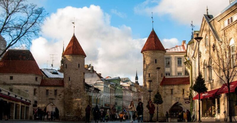 From Helsinki: Guided Day Trip to Tallinn by Ferry & VIP Car - Who Should Consider This Tour?