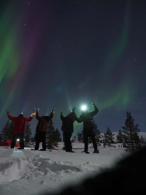 From Helsinki: Guided Forest Walk in the dark with campfire - Authentic Finnish Winter at Its Best