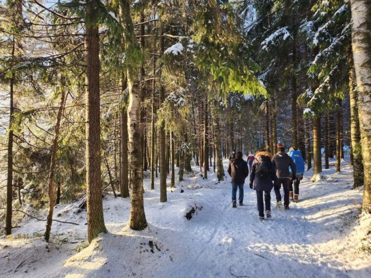 from-helsinki-hike-and-sauna-in-sipoonkorpi-national-park