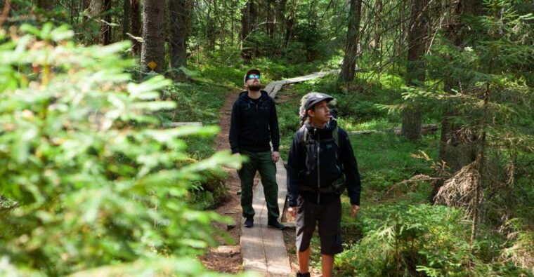 from-helsinki-magical-taiga-hike-in-liesjarvi-national-park