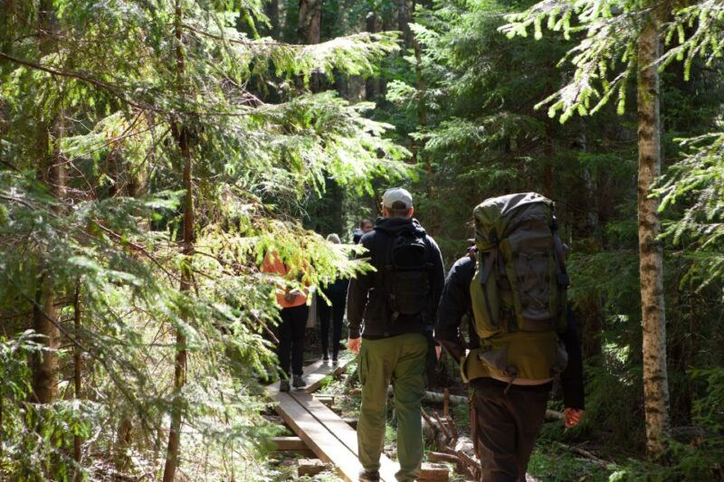 from-helsinki-mushroom-hunting-tour-in-a-national-park