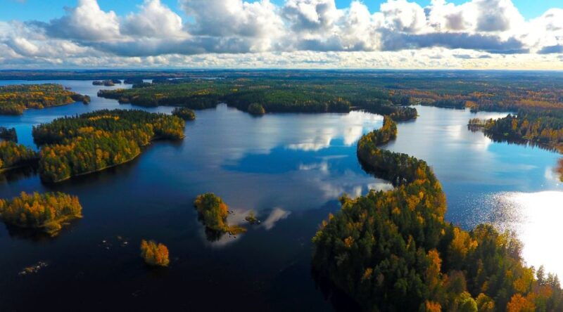 from-helsinki-mushroom-hunting-tour-in-a-national-park