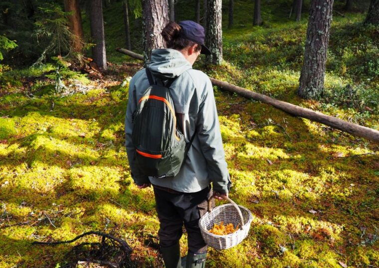 from-helsinki-mushroom-hunting-tour-in-a-national-park