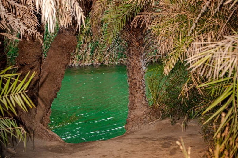 From Herakleion: Day Trip to Preveli Palm River Beach - Who Would Love This Tour?