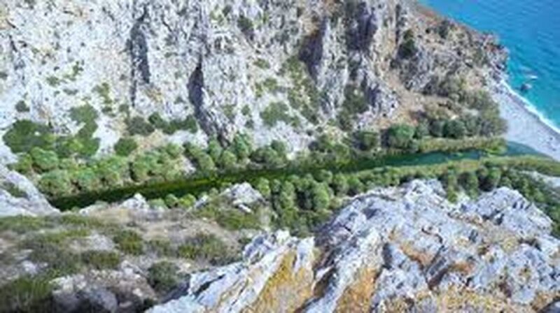 From Herakleion: Day Trip to Preveli Palm River Beach - Final Thoughts