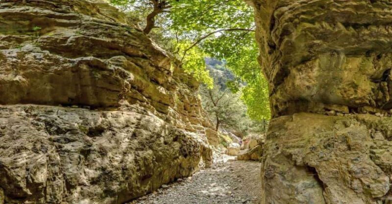 from-heraklion-imbros-gorge-and-libyan-sea-guided-day-trip