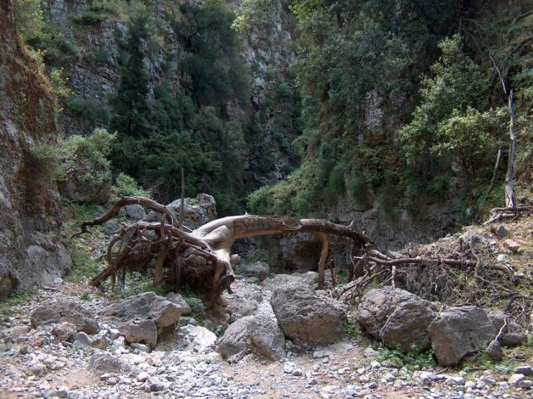from-heraklion-imbros-gorge-and-libyan-sea-guided-day-trip