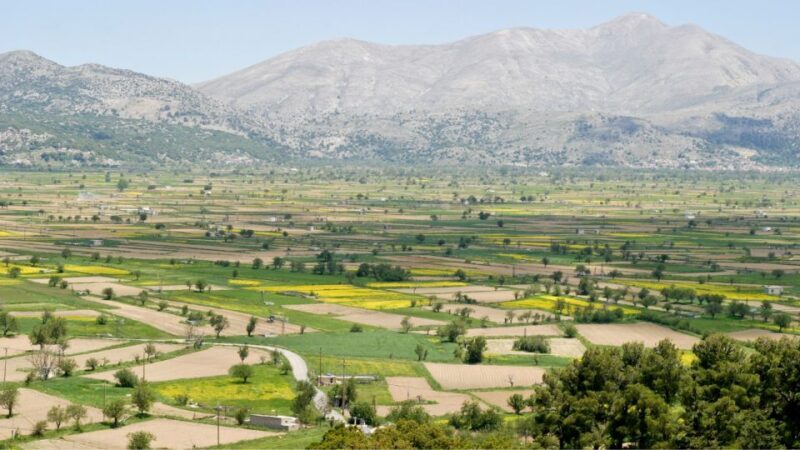 From Heraklion: Traditions & Legends of Lasithi Plateau - Lunch in Tzermiado Village