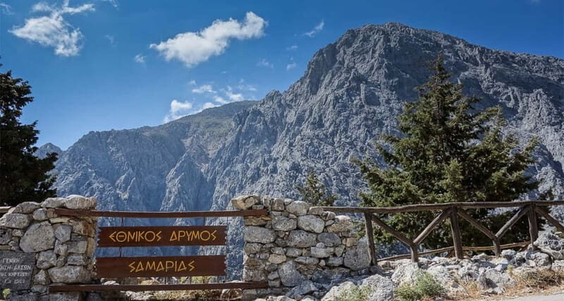 From Heraklion,Agia Pelagia,Malia: Samaria Gorge Guided Trip - Final Thoughts on the Tour