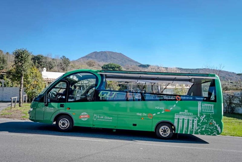 From Herculaneum : Panoramic Open tour Destination Vesuvio - A Closer Look at the Experience