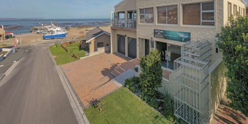 From Hermanus or Cape Town: Shark Cage Diving Experience - Key Points