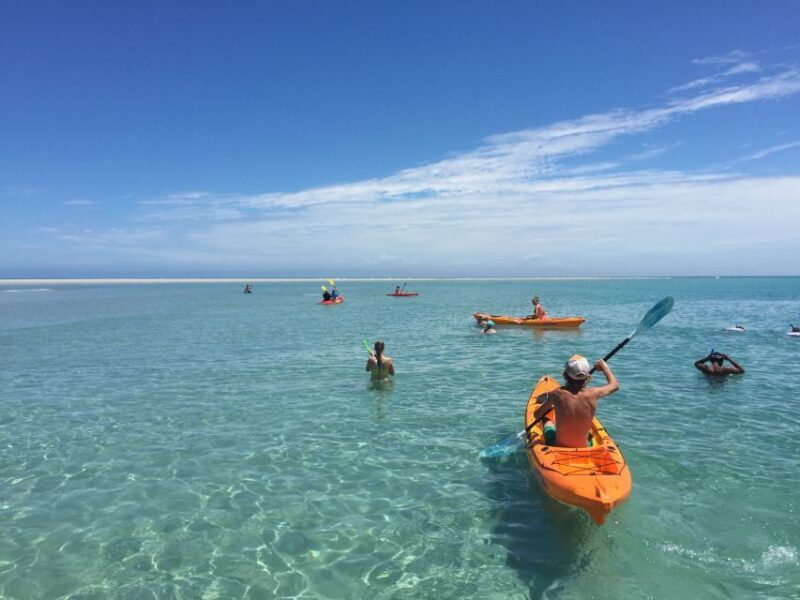 From Hervey Bay: Half-Day K'gari Fraser Island Beach Cruise - FAQ