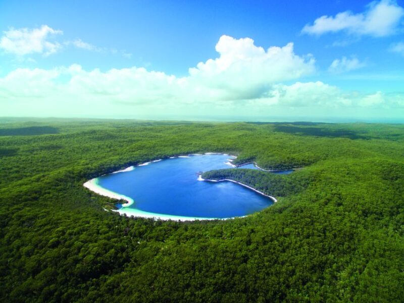 From Hervey Bay: K'gari, Fraser Island Full-Day Coach Tour - Key Points