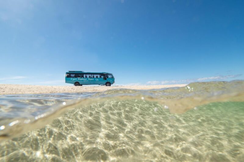 From Hervey Bay: K'gari, Fraser Island Full-Day Coach Tour - Seventy-Five Mile Beach & Scenic Options