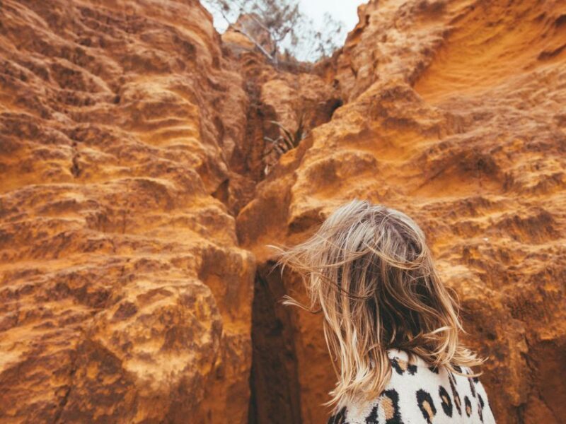 From Hervey Bay: K'gari, Fraser Island Full-Day Coach Tour - Maheno Shipwreck & Pinnacles