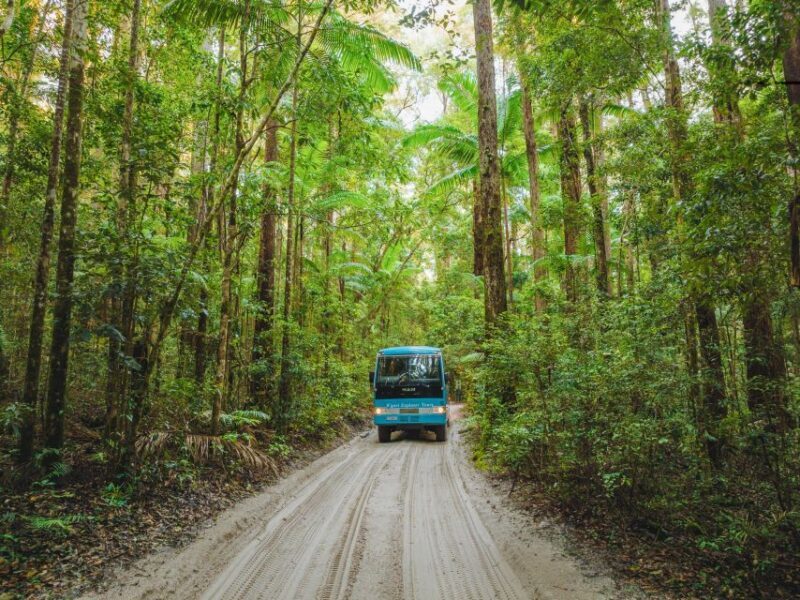 From Hervey Bay: K'gari, Fraser Island Full-Day Coach Tour - Returning & Practical Details