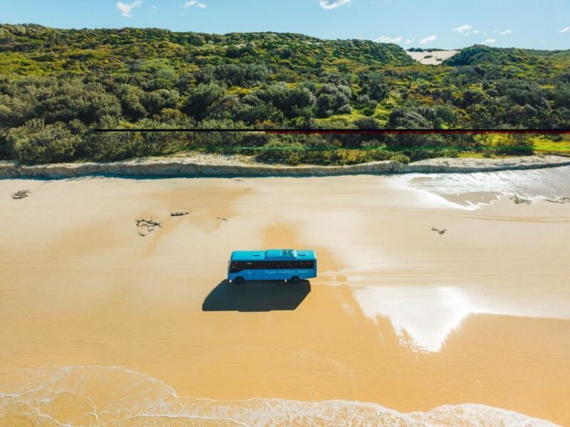 From Hervey Bay: K'gari, Fraser Island Full-Day Coach Tour - Final Thoughts: Is This Tour for You?