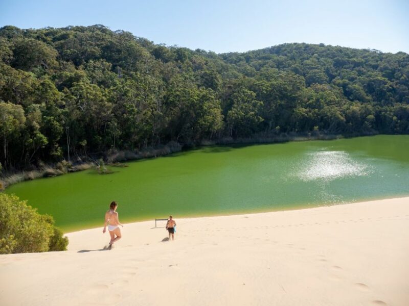From Hervey Bay: K'gari, Fraser Island Two-Day Coach Tour - Practical Tips for the Tour