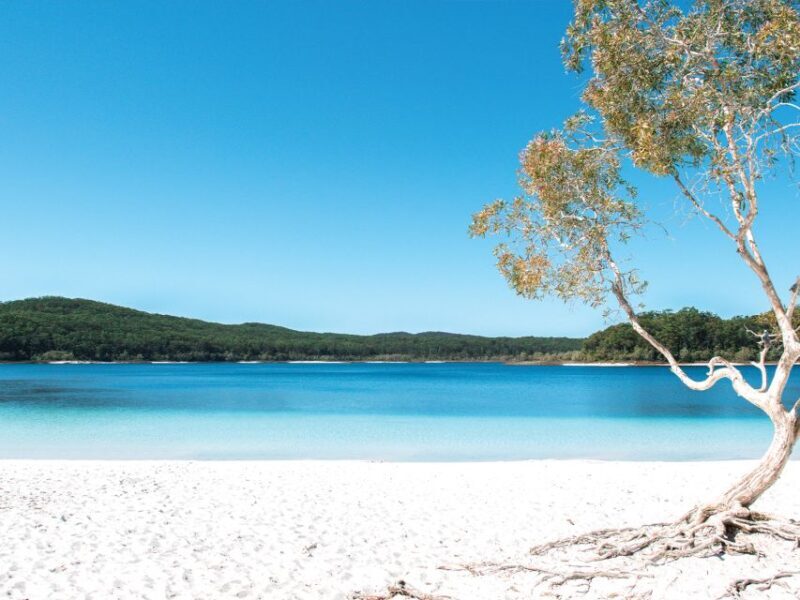 From Hervey Bay: K'gari Getaway Three-day 4WD Coach Tour - Key Points