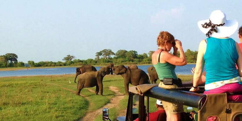 from-hikkaduwa-udawalawe-national-park-safari-tour