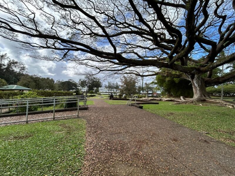From Hilo: Hawaii Volcanoes National Park Tour - Exploring Hawaii Volcanoes National Park