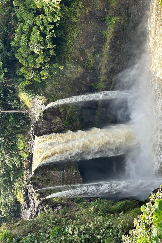 From Hilo: Hawaii Volcanoes National Park Tour - Who Is This Tour Best For?