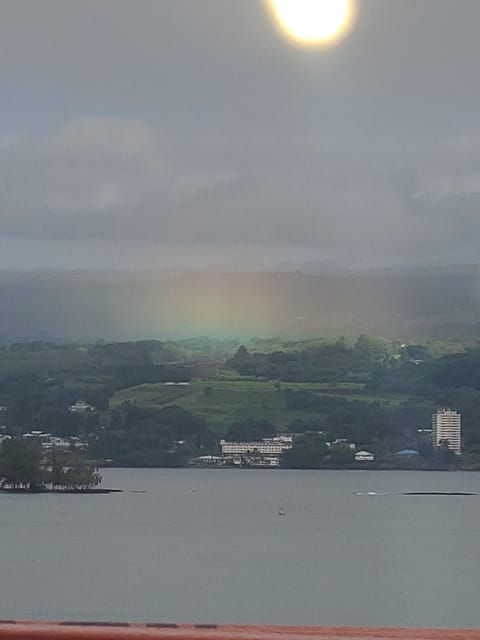 from-hilo-hawaii-volcanoes-national-park-tour