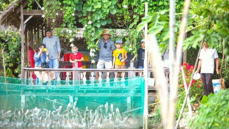 from-ho-chi-minh-cai-rang-floating-market-and-cai-be-tour