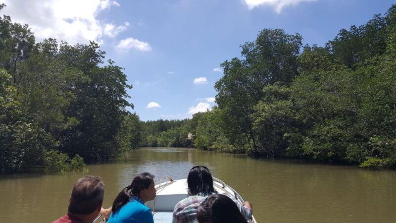 from-ho-chi-minh-can-gio-mangrove-forest-monkey-island