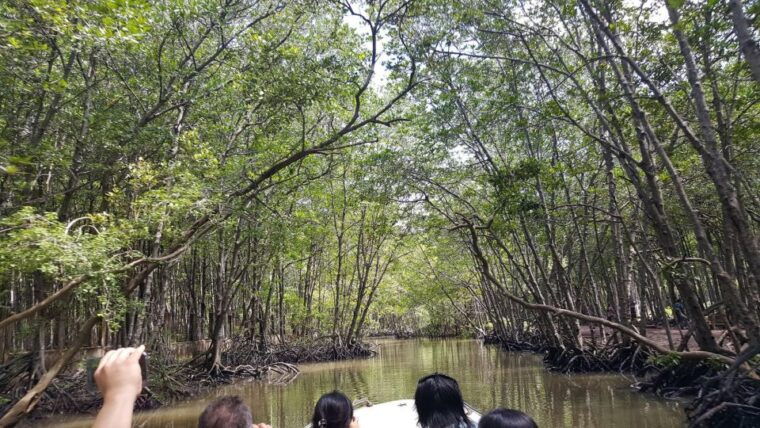 from-ho-chi-minh-can-gio-mangrove-forest-monkey-island