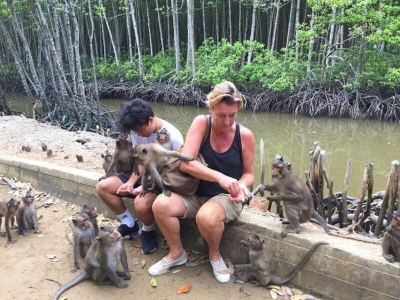 from-ho-chi-minh-can-gio-mangrove-forest-monkey-islands