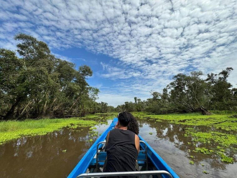 from-ho-chi-minh-can-gio-mangrove-forest-monkey-islands