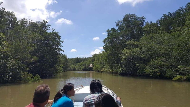 from-ho-chi-minh-can-gio-mangrove-forest-private-tour